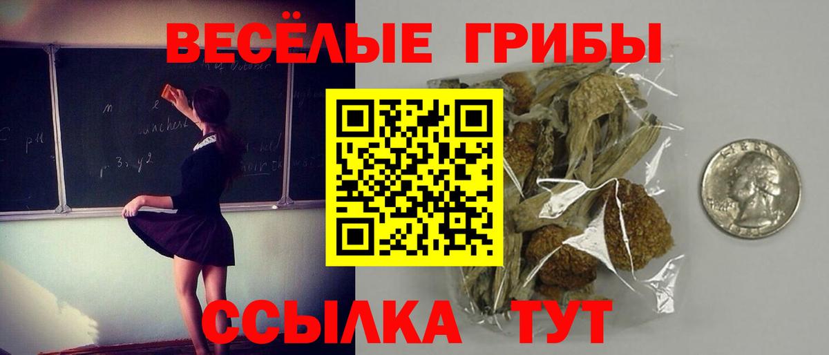 Шали  Псилоцибиновые грибы мухоморы  наркошоп  Вход с VPN  Псилоцибиновые грибы Magic Shrooms 